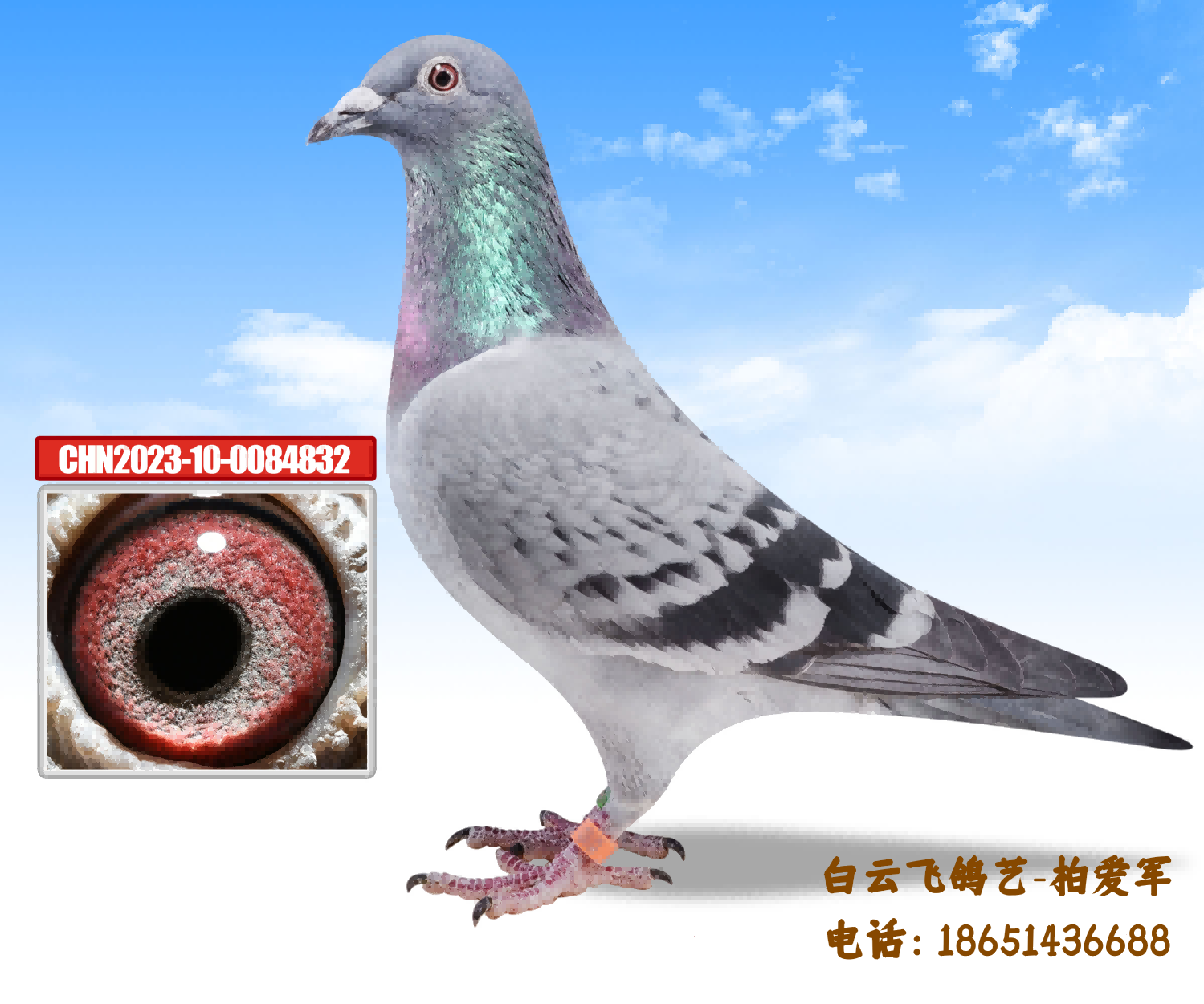 ը������7��