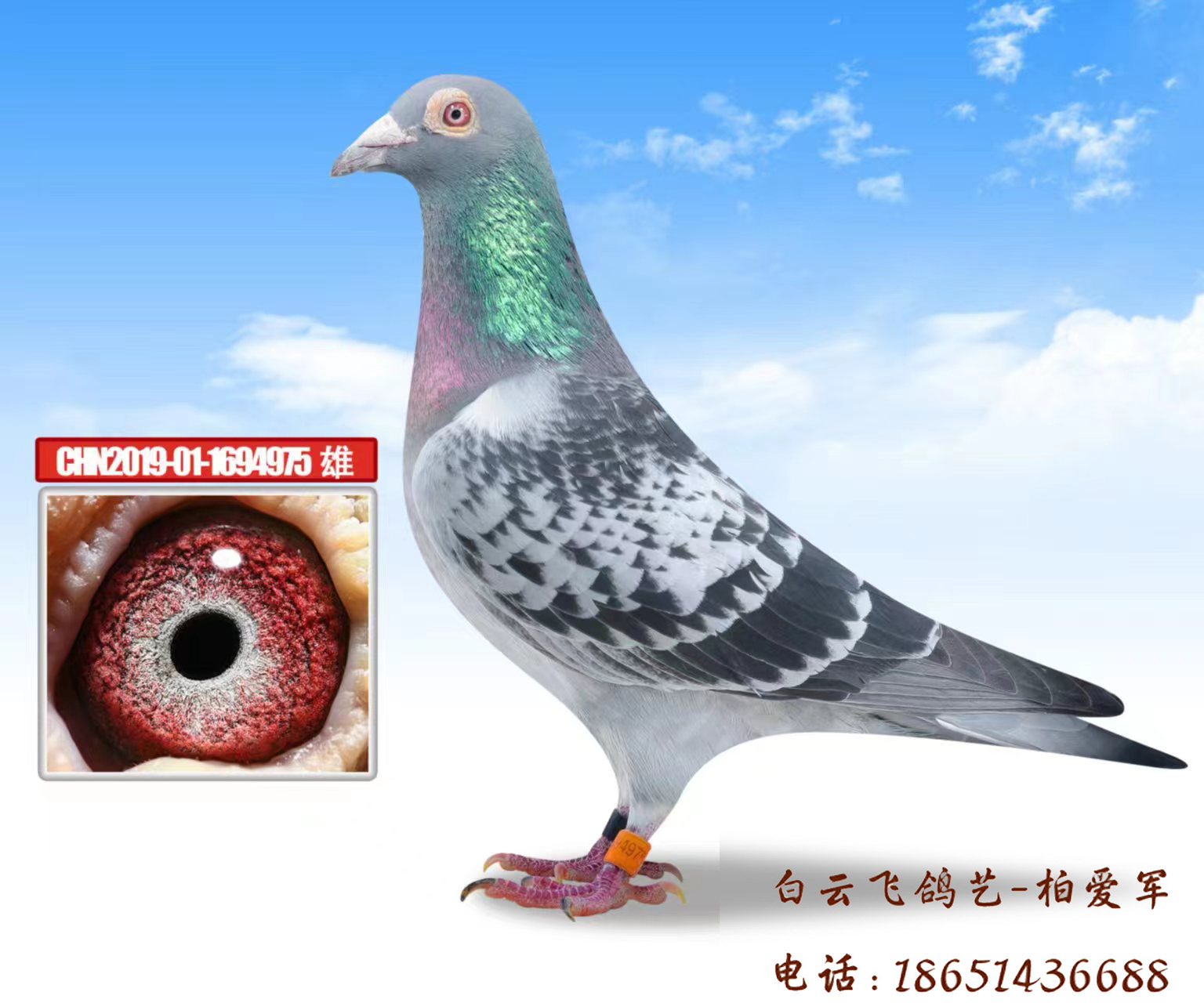 ս�����1��