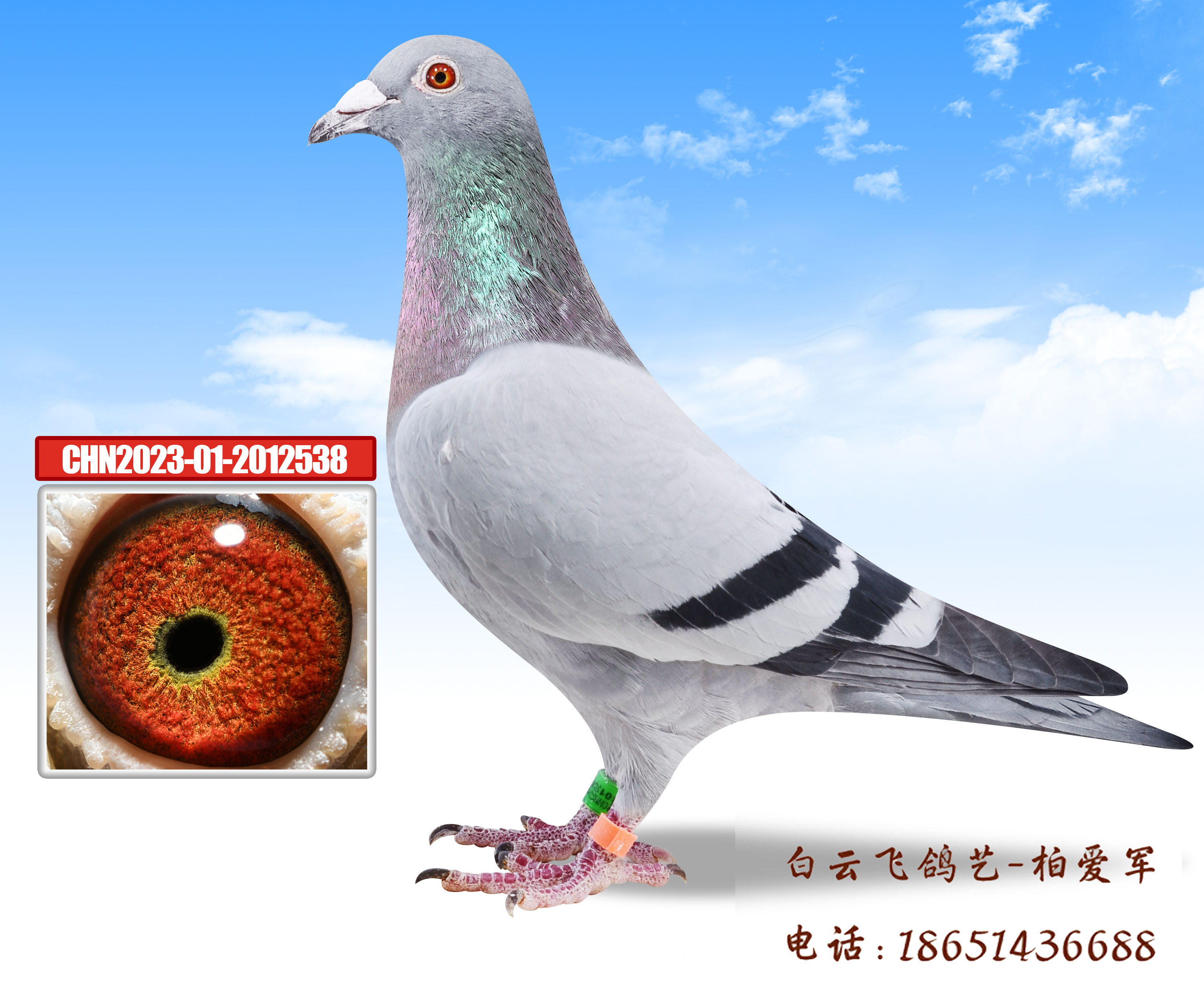 ս�����3��