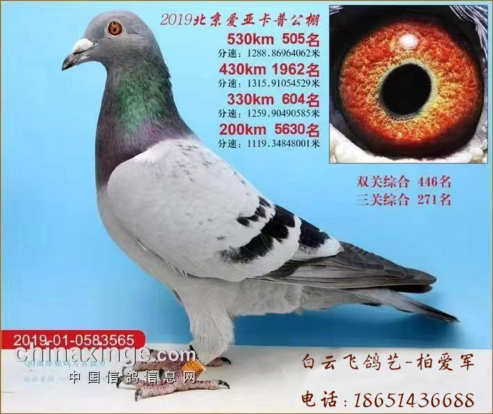 ˫���ռ���1��