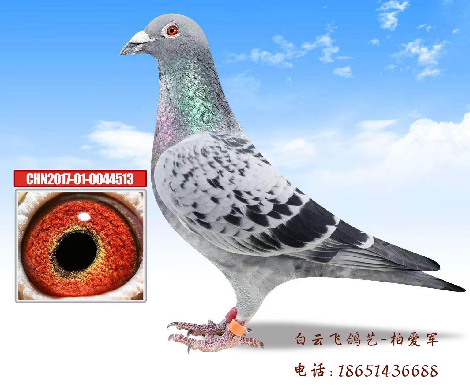 ˫���ռ���3��