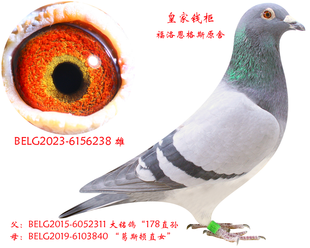 ����˹ԭ��-�ʼ�Ǯ��