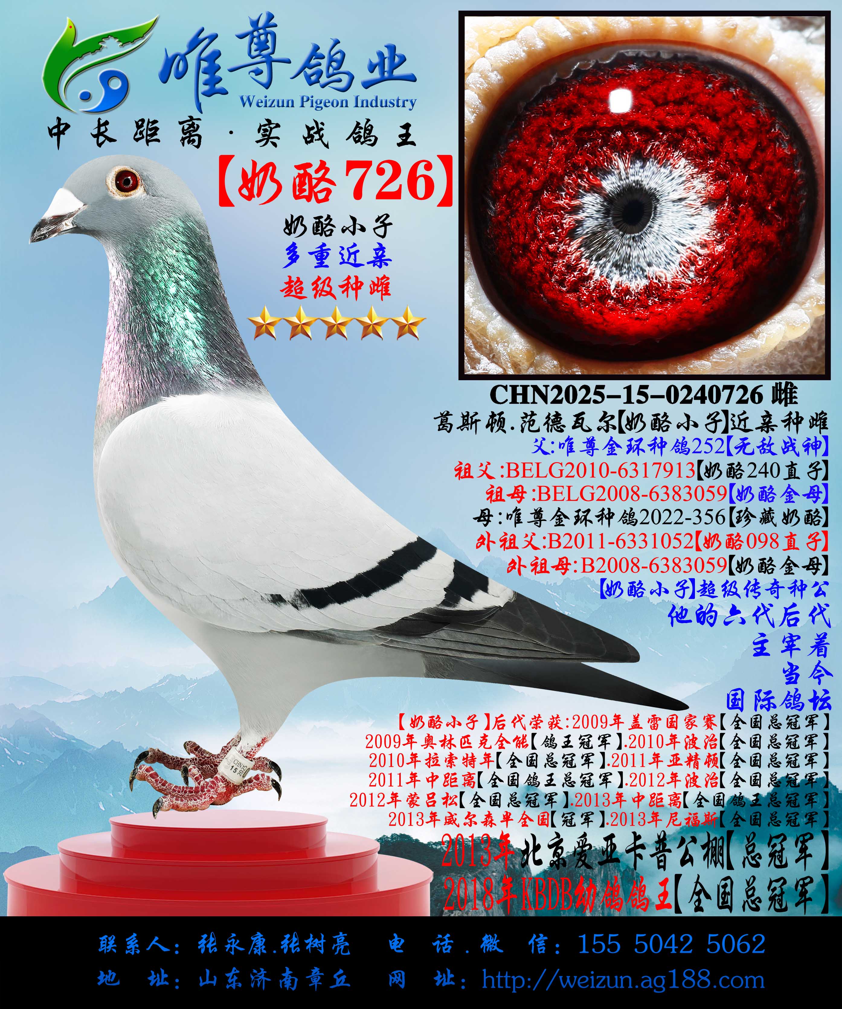 ������726��