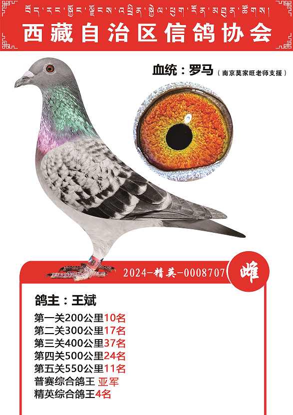 25����������������ظ����Ǿ�