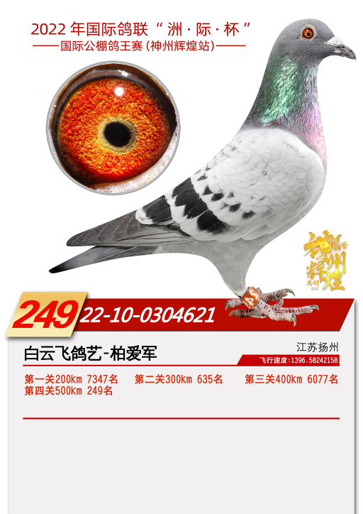 ˫���ռ���4��