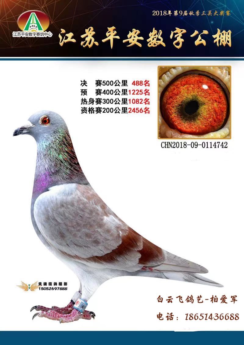 ��ɫ��������-��ɽ����