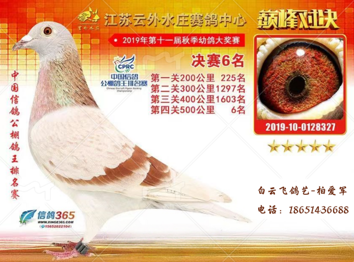 ��ɫ��������1��