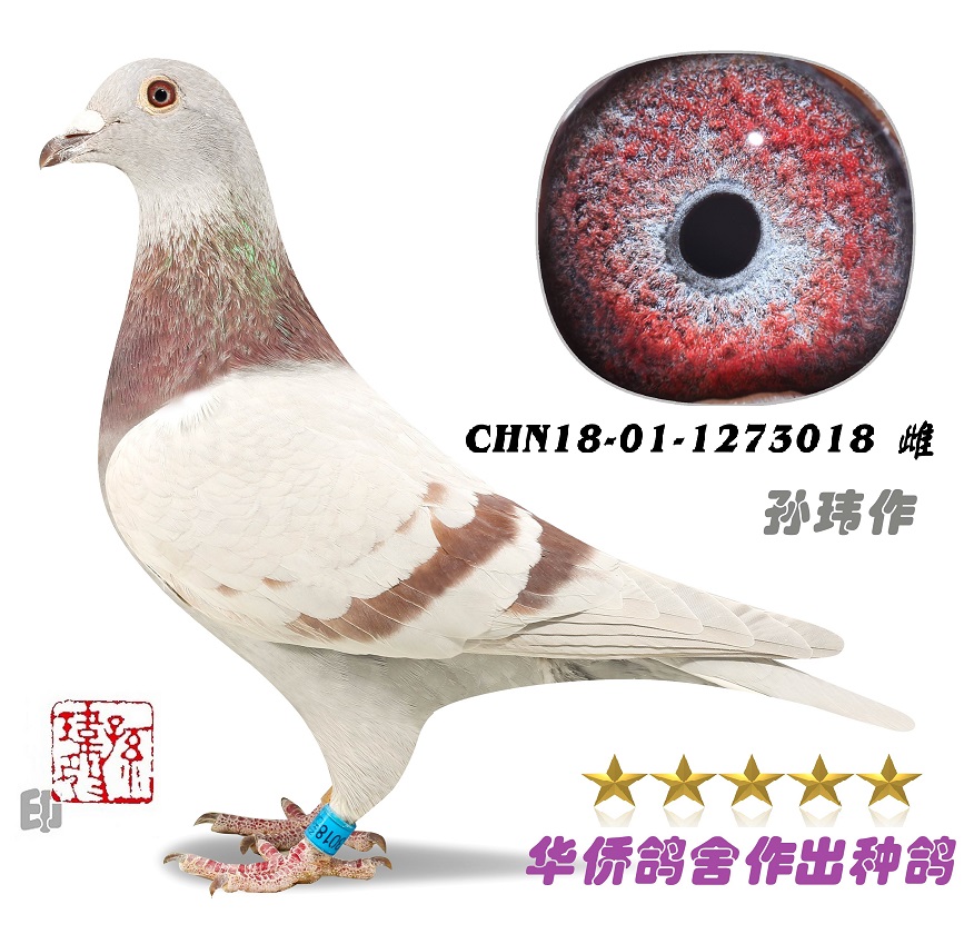 ղɭ019����Ů ƽ��ֱ�ӣ��Ĺ���������