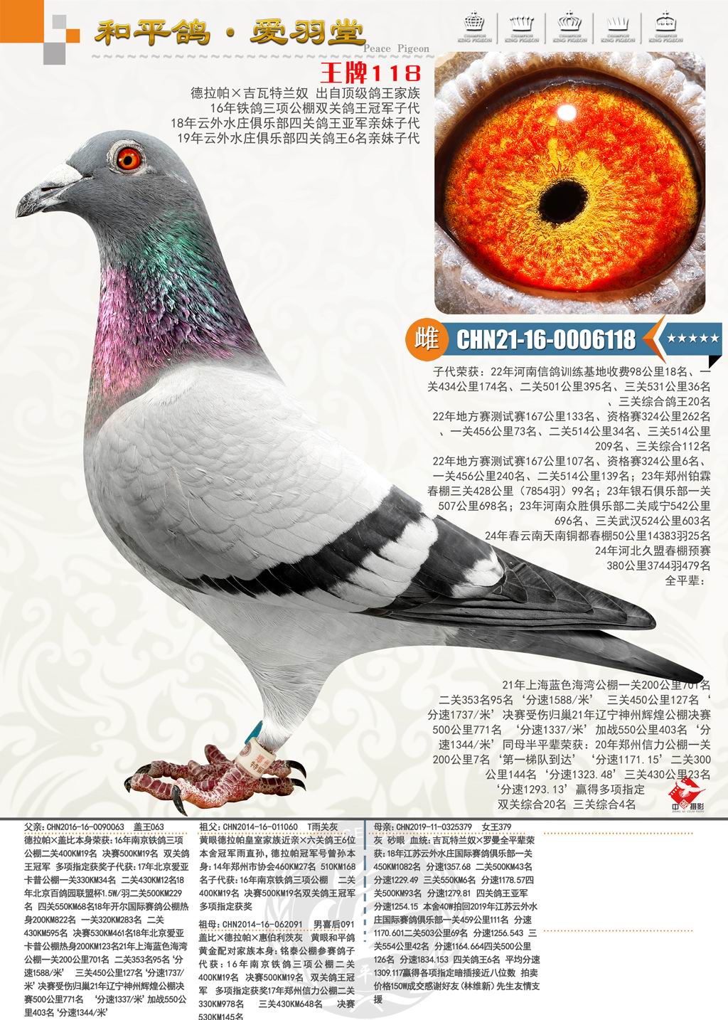 ������118������ֱŮ