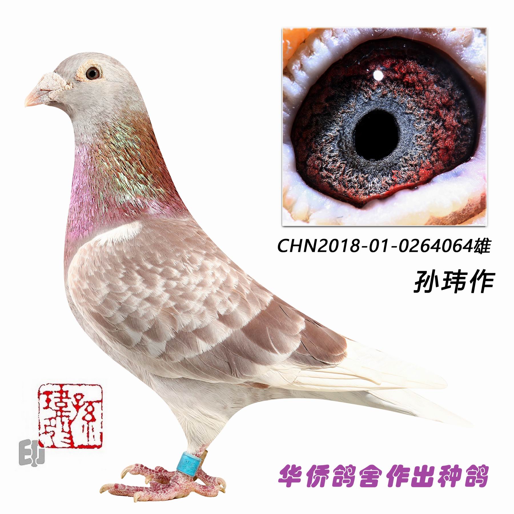 ղɭ019������-0264064