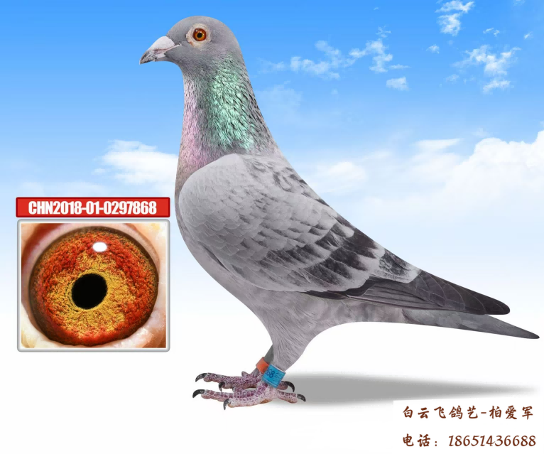 ���Լ���2��