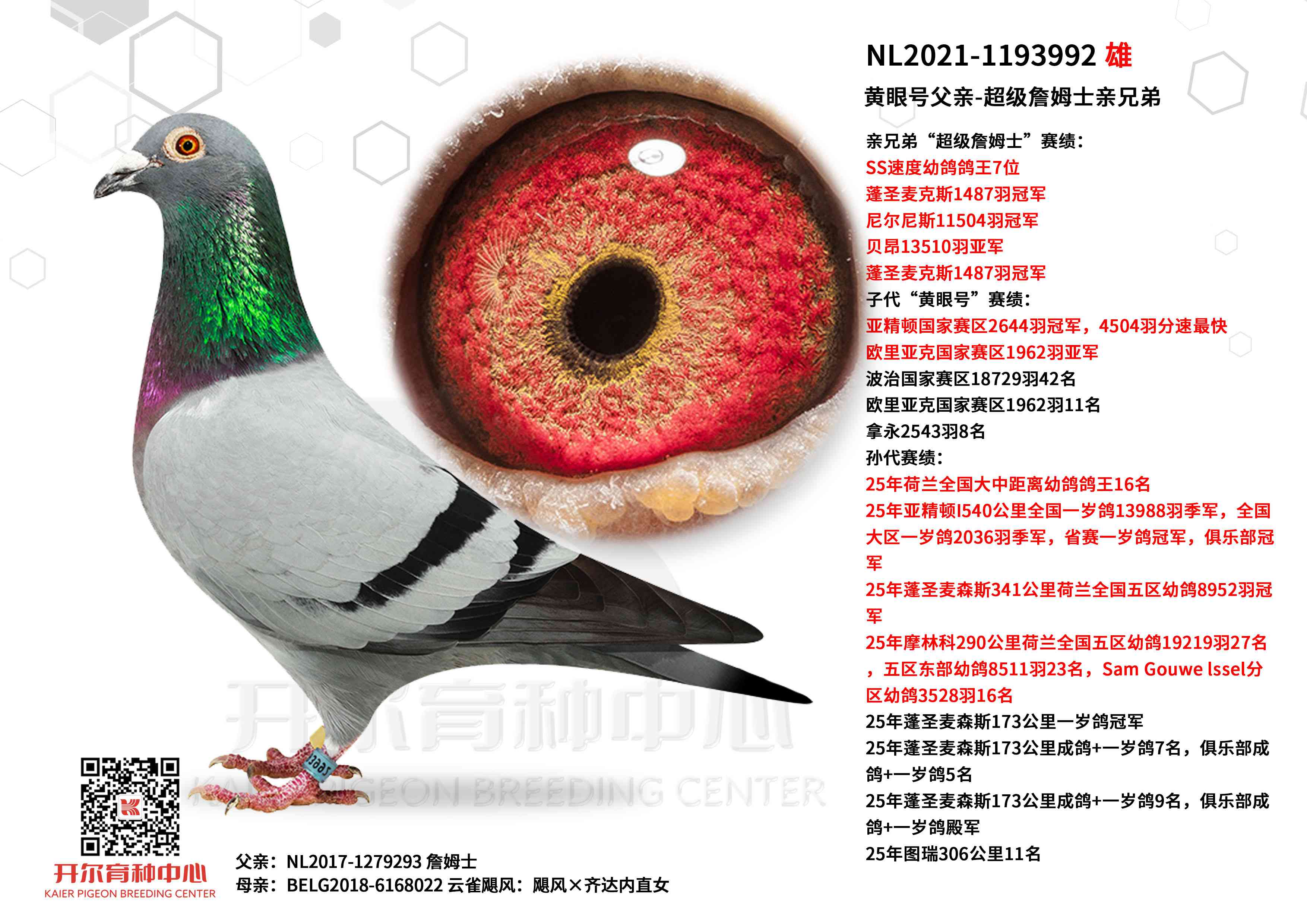 ���ۺŸ���-����ղķʿ���ֵ�