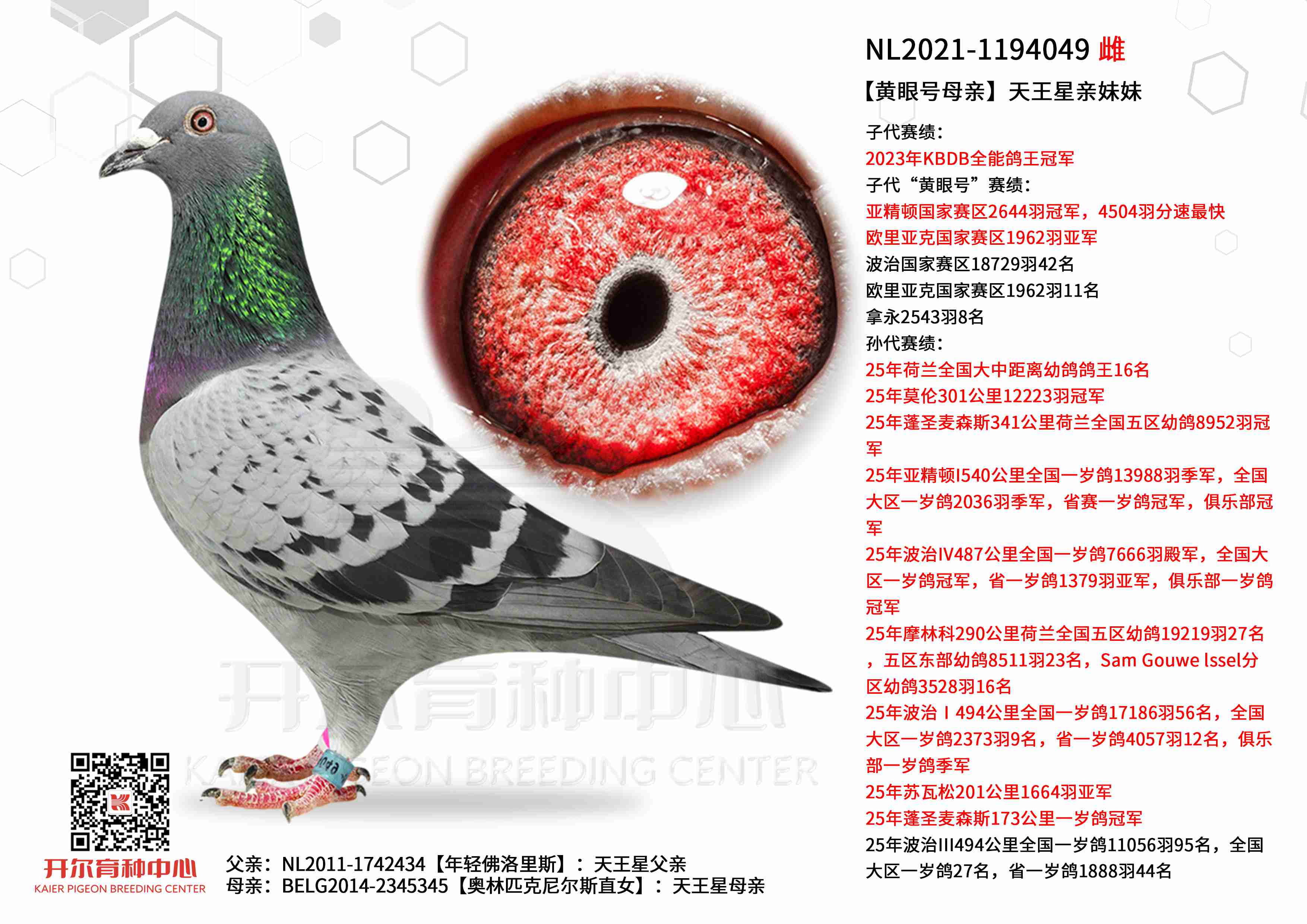 �����ۺ�ĸ�ס�������������