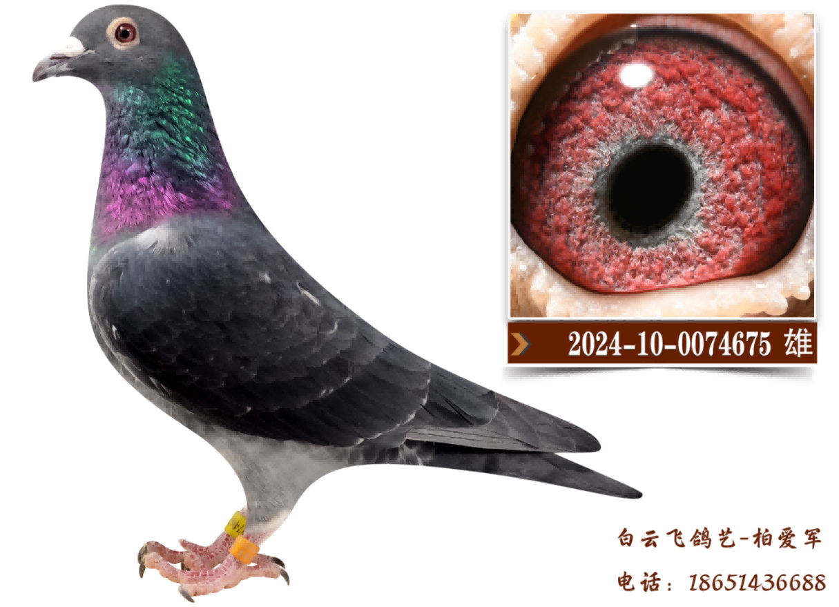 ը������9��