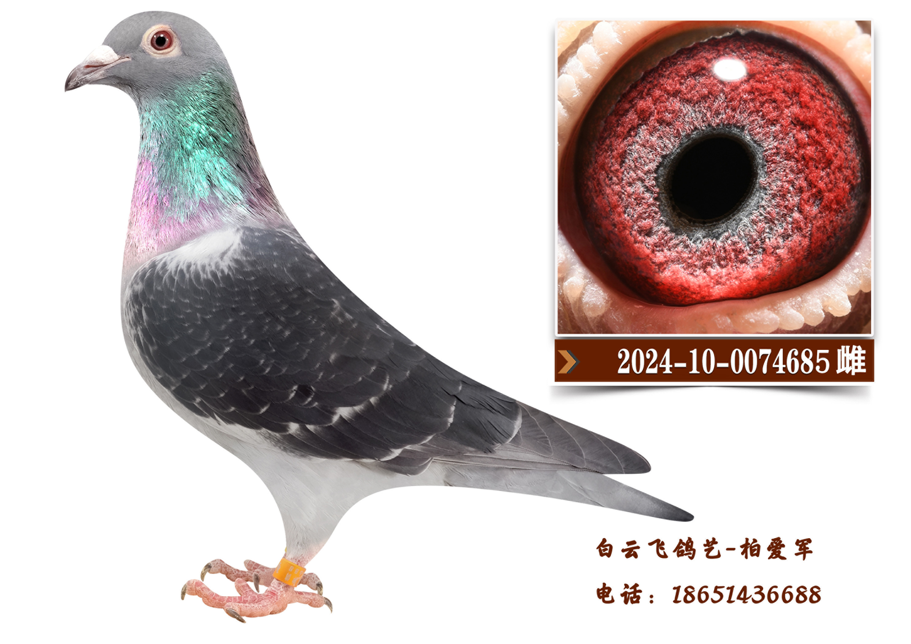 ը������10��