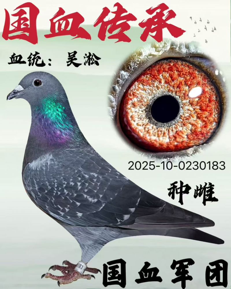 �����ִ�