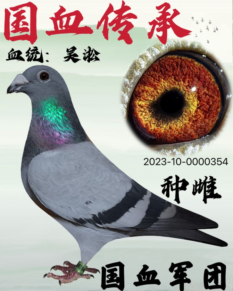 �����ִ�