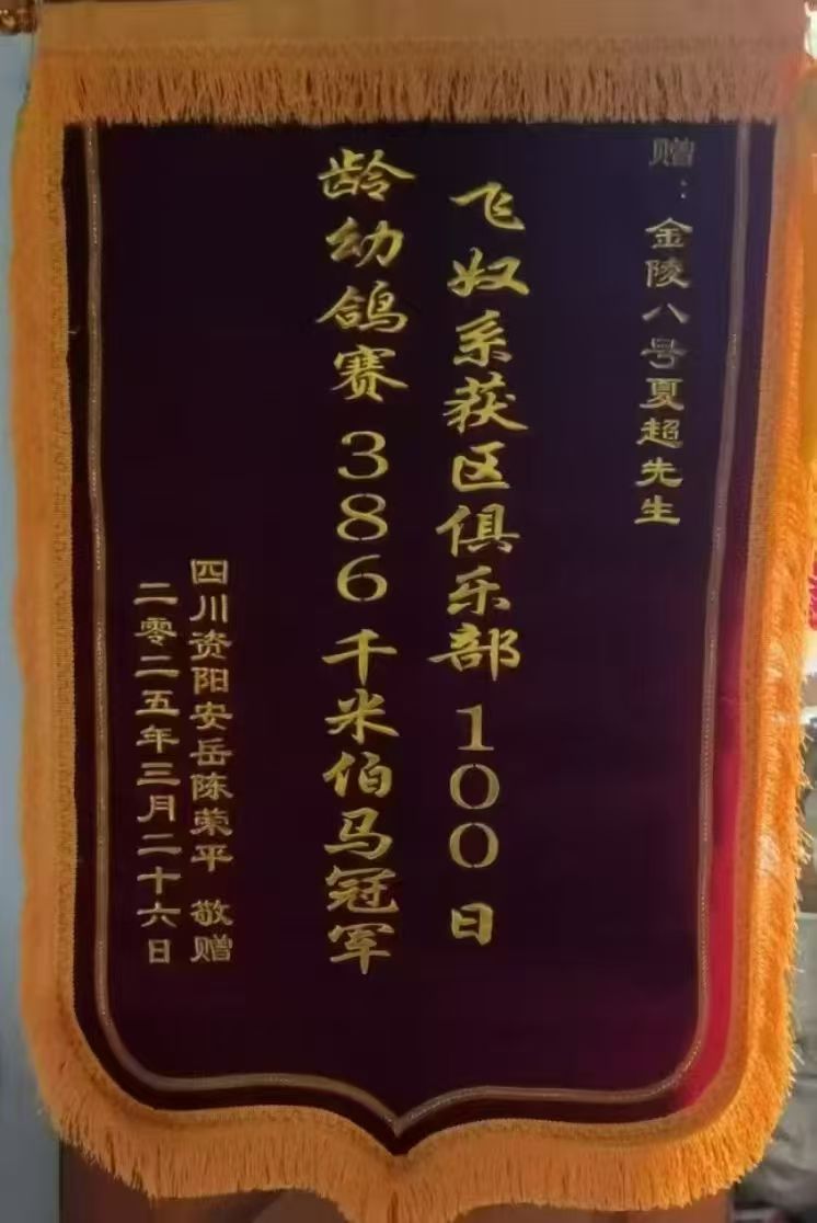 �Ĵ�����ƽ2025���Ĵ��ʡ������ھ���