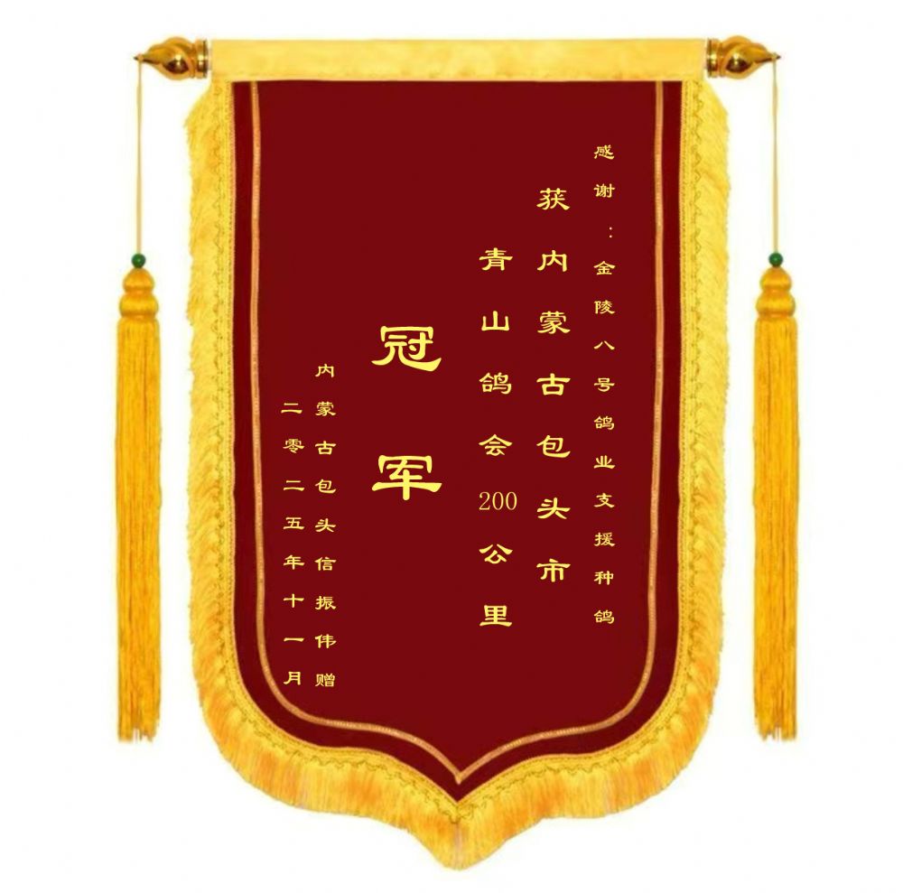 ���ɹ�����ΰ2025���ͷ��ɽ���ھ�