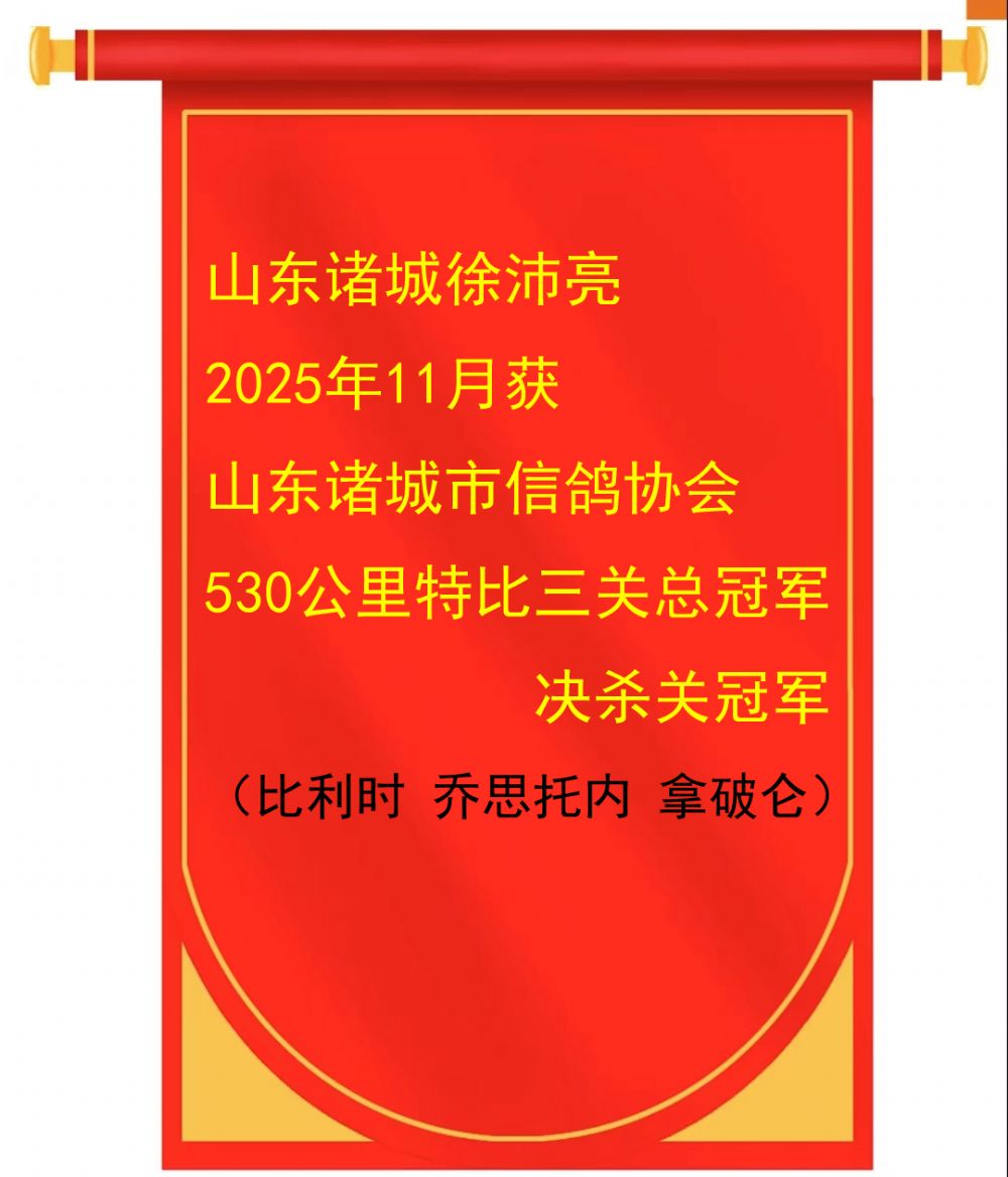 ɽ��������2025�����530�����ܹھ�