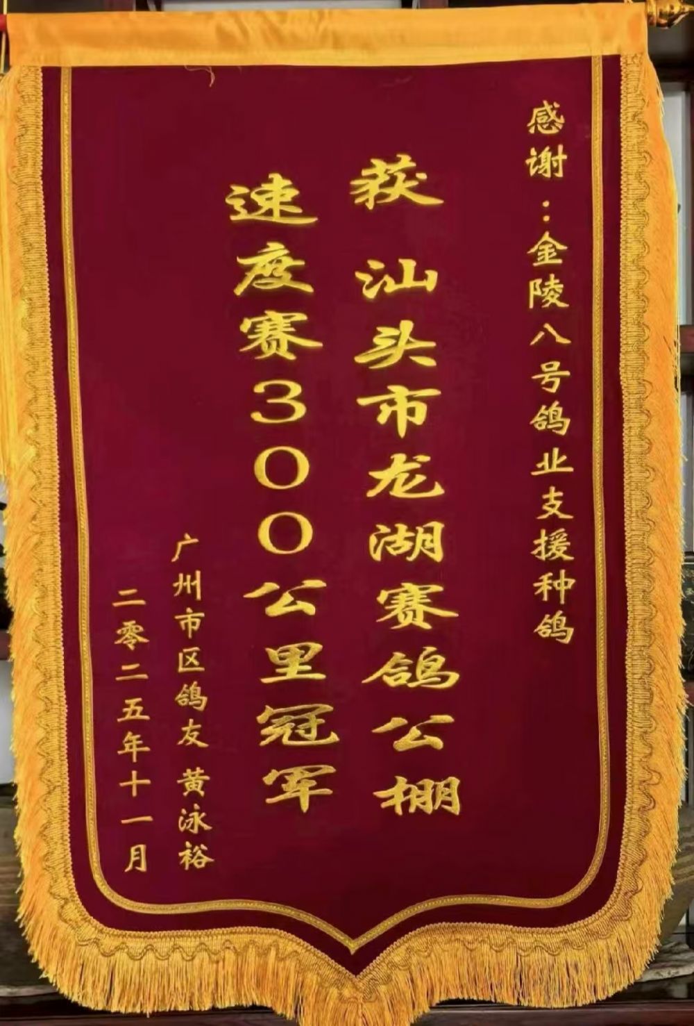 ���ݻ�Ӿԣ2025��㶫��ͷ��������ھ�