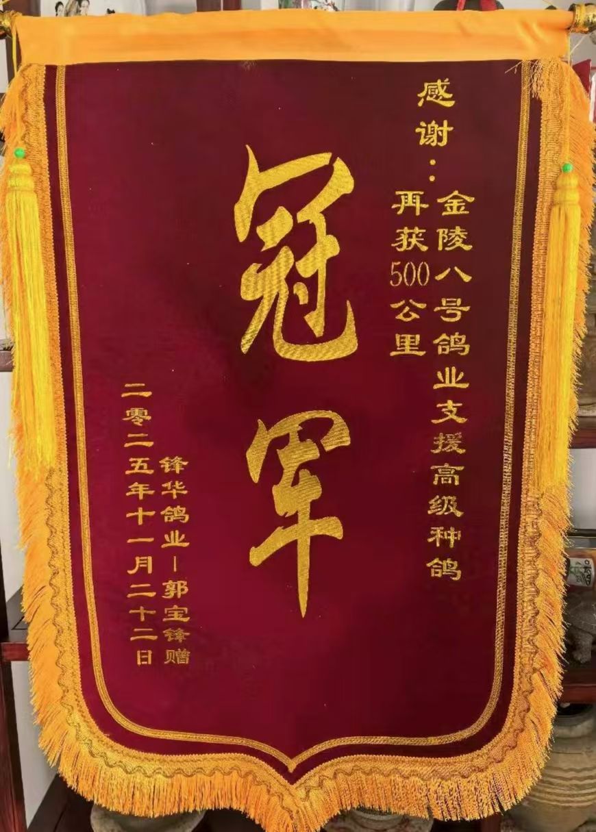 ���������2025������500����ھ�