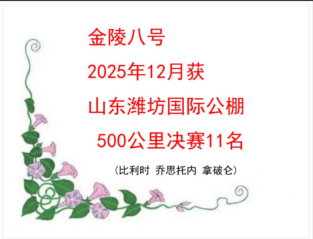 ����˺�2025Ϋ������500����11��