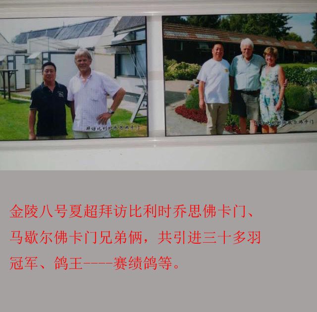 �����ţ�����ܻ�2025�꼾��