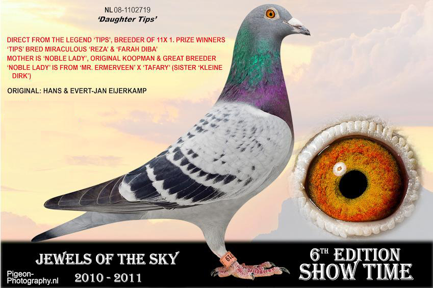 �����������ֹ�������ʿ��ֱŮ�����ۣ�