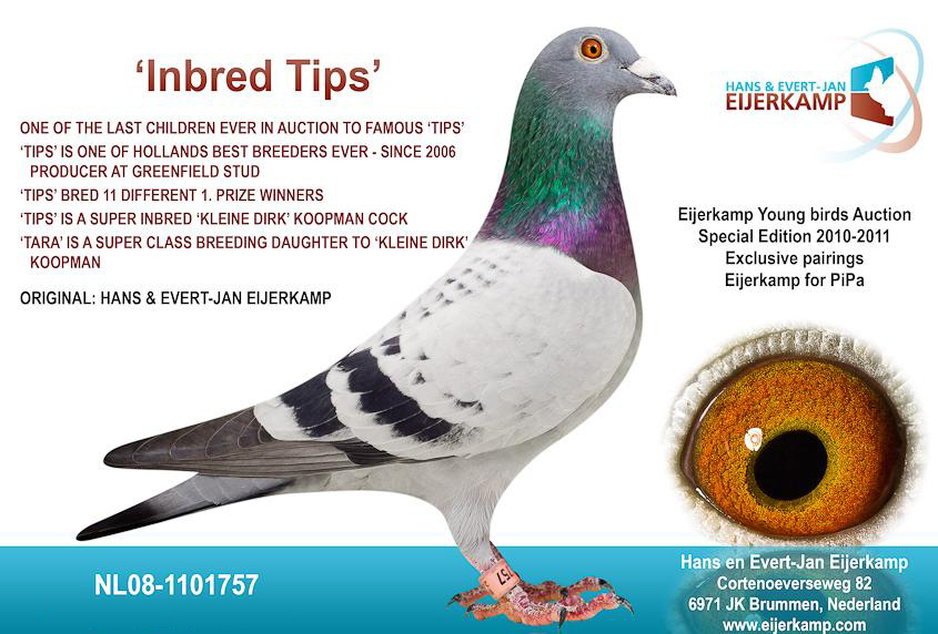 �����������ֹ�������ʿ��ֱ��