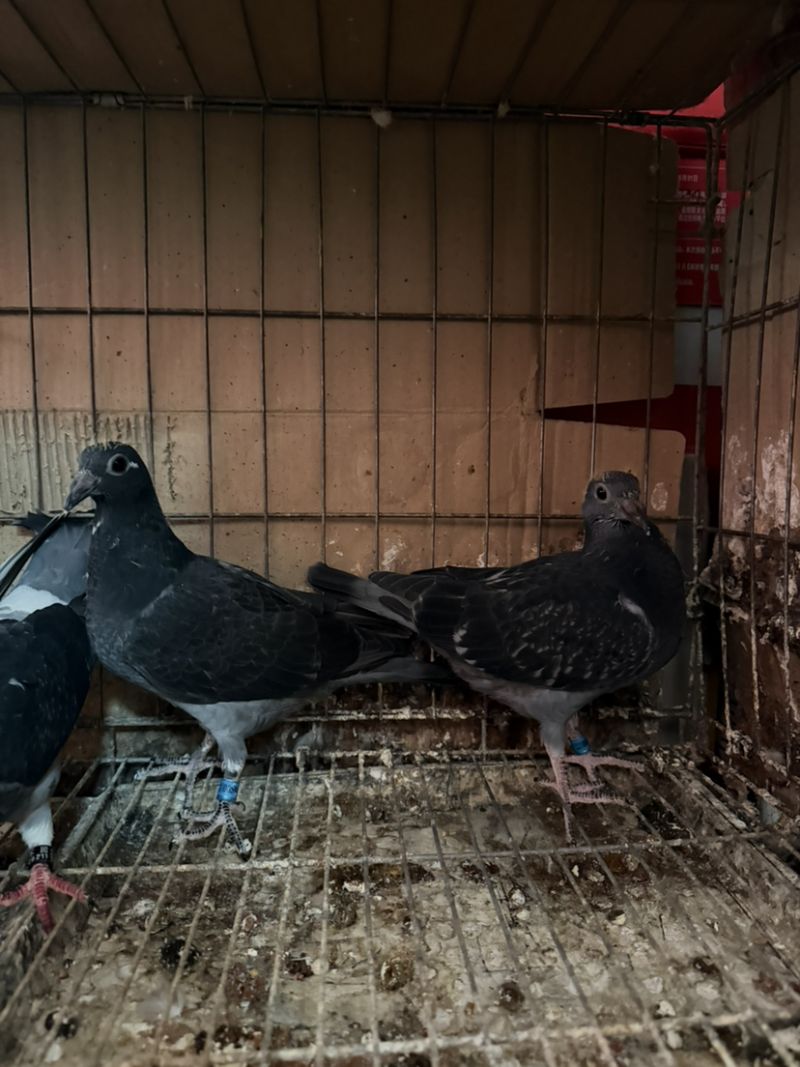 ��������һ��