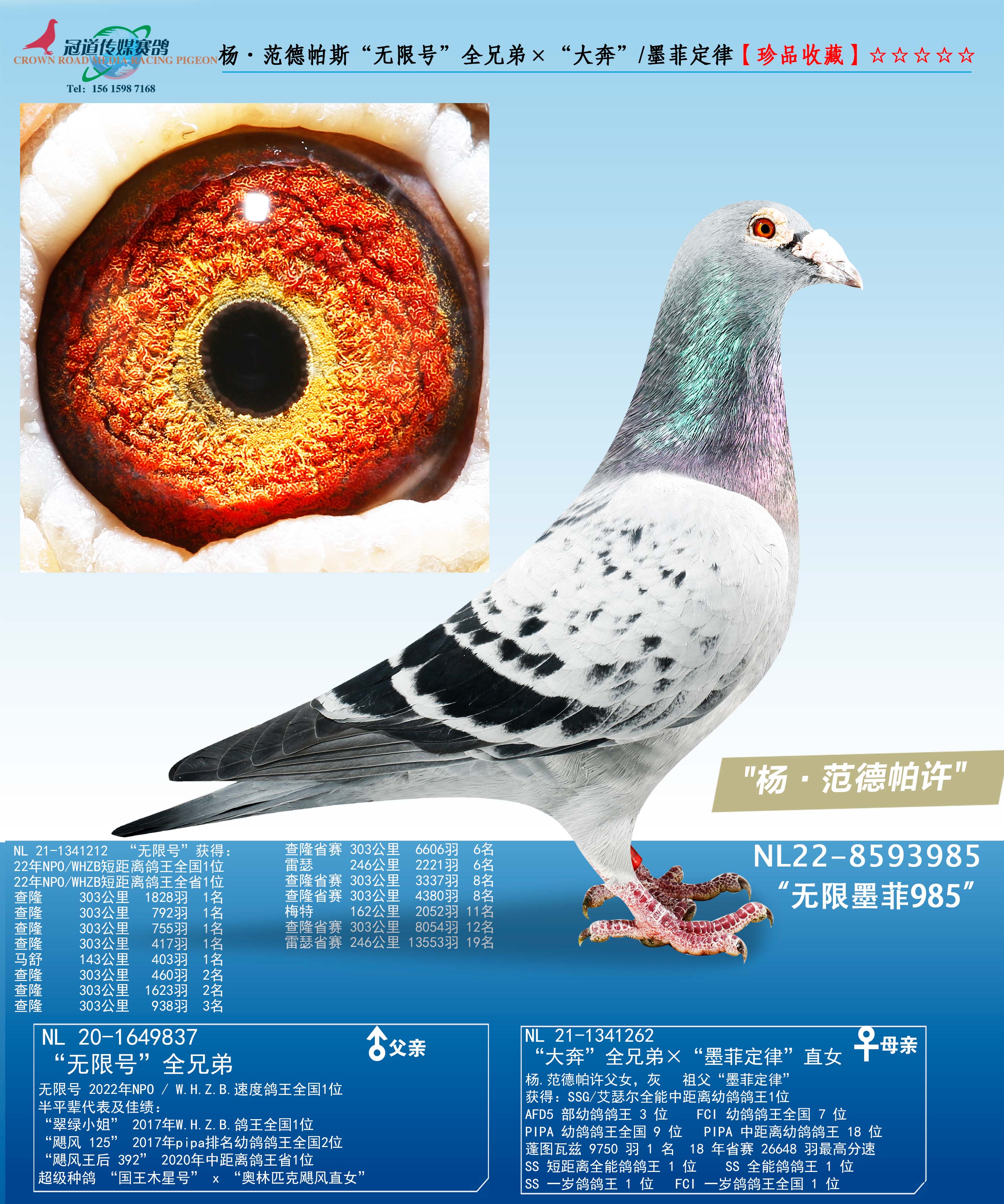 �������˹������ī��985��