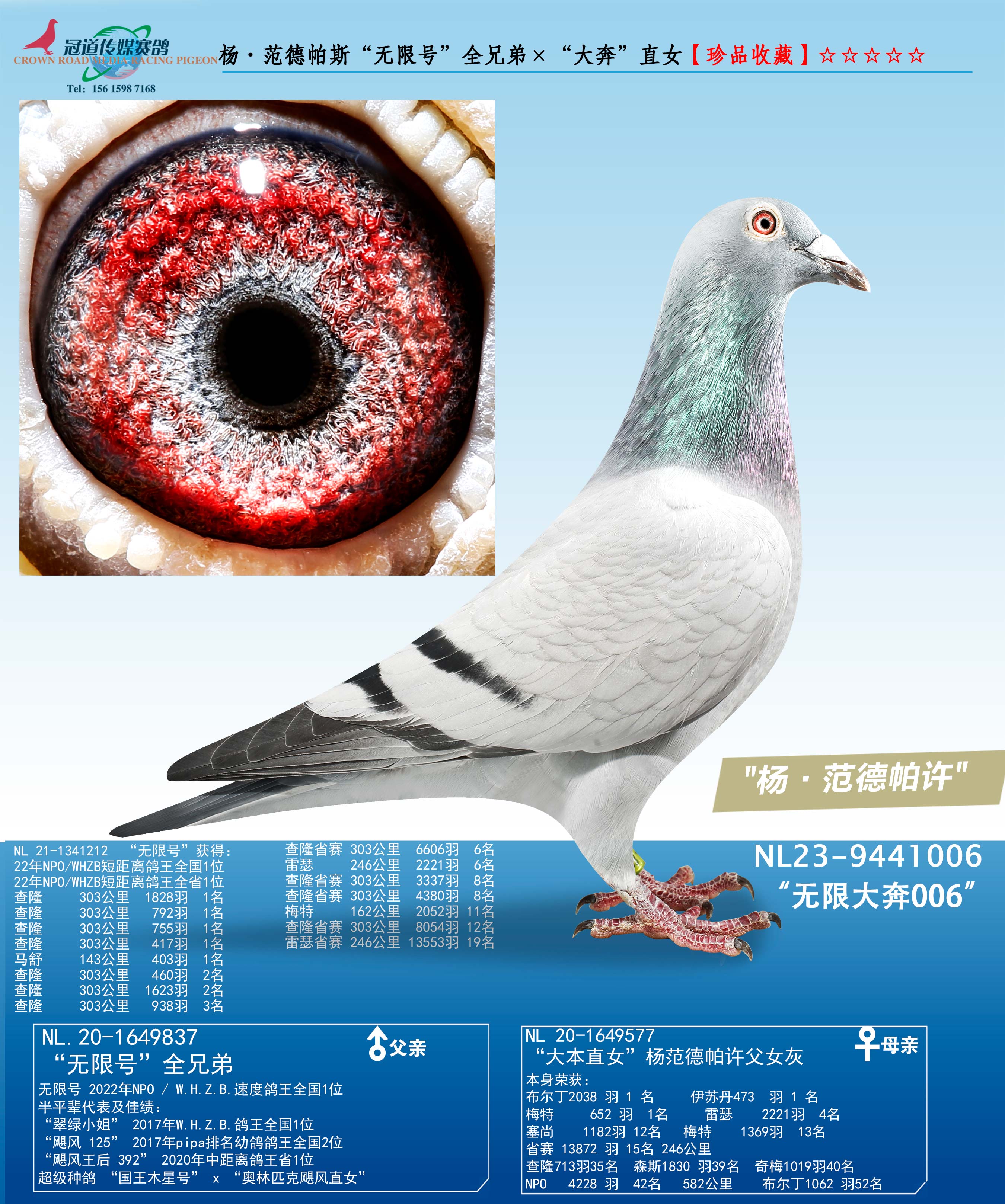 �������˹�����޴�006��