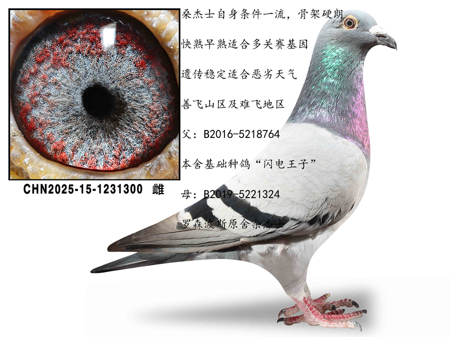 ����ɣ��ʿ�����ִ�