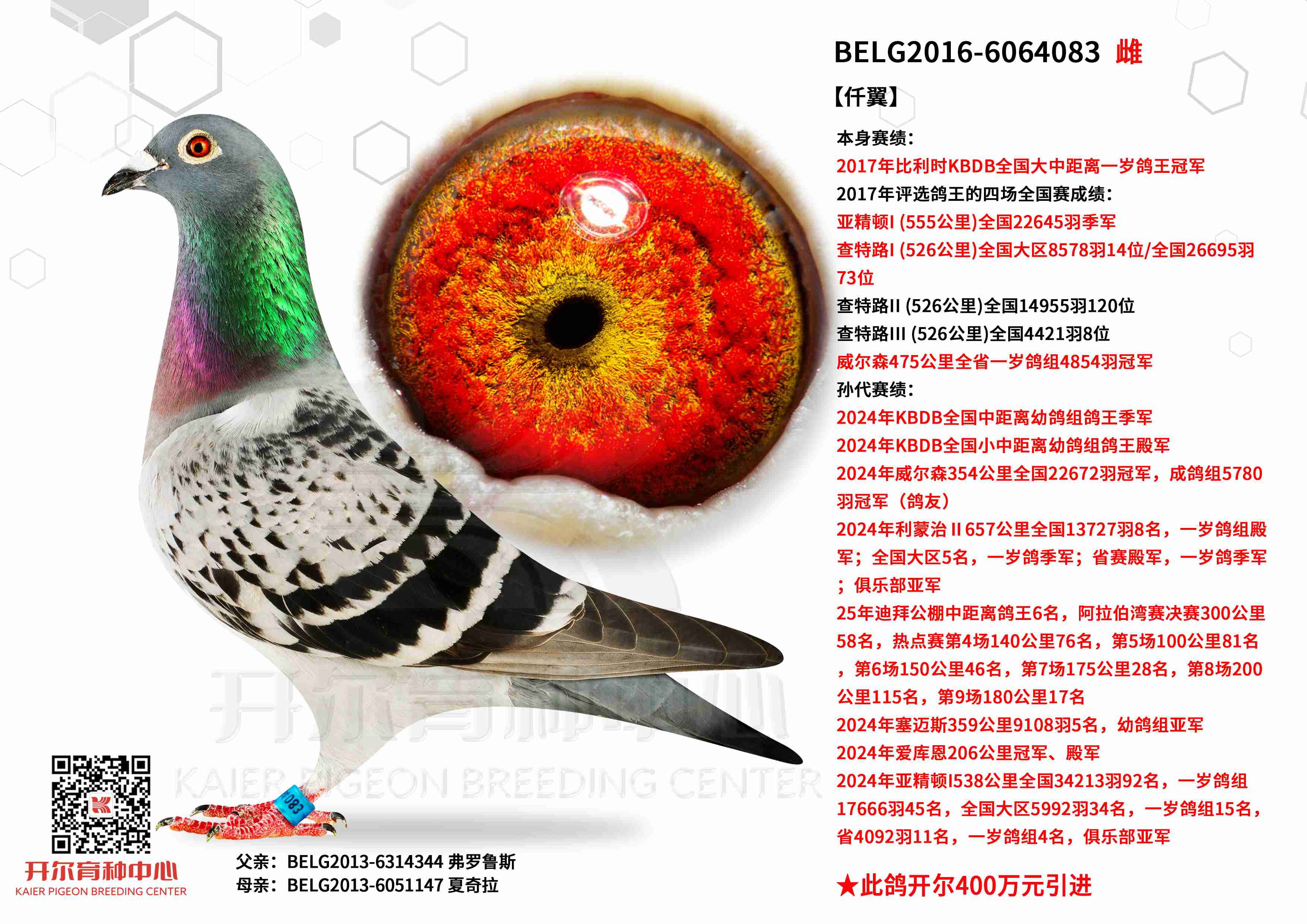 ��Ǫ����17�����ʱȫ�����о�������ھ�