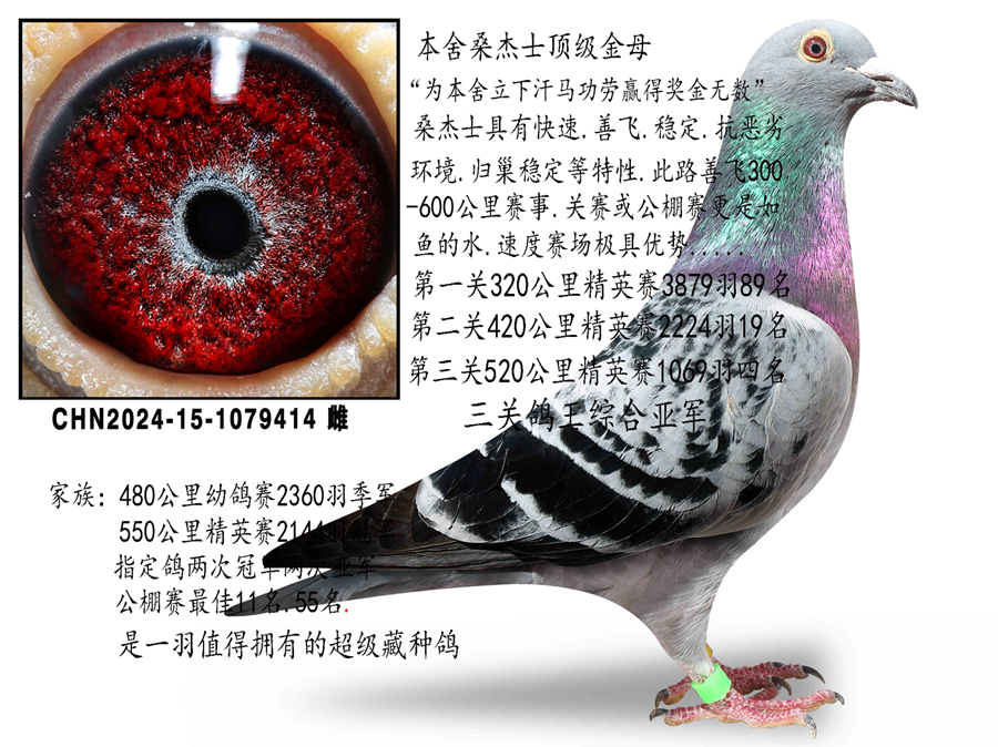 ɣ��ʿ������ĸ