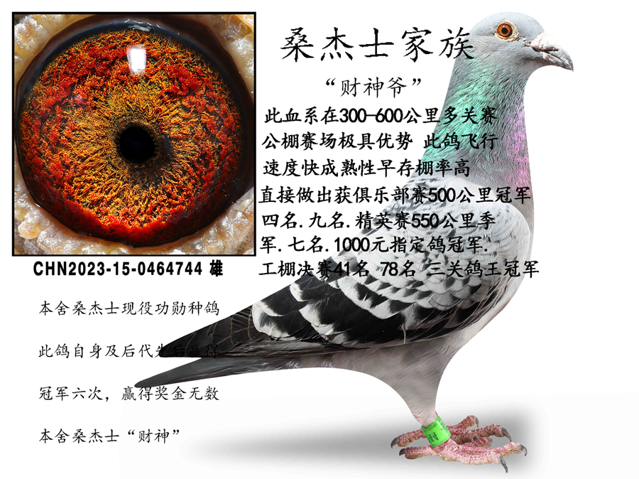 ɣ��ʿ���塰����ү��