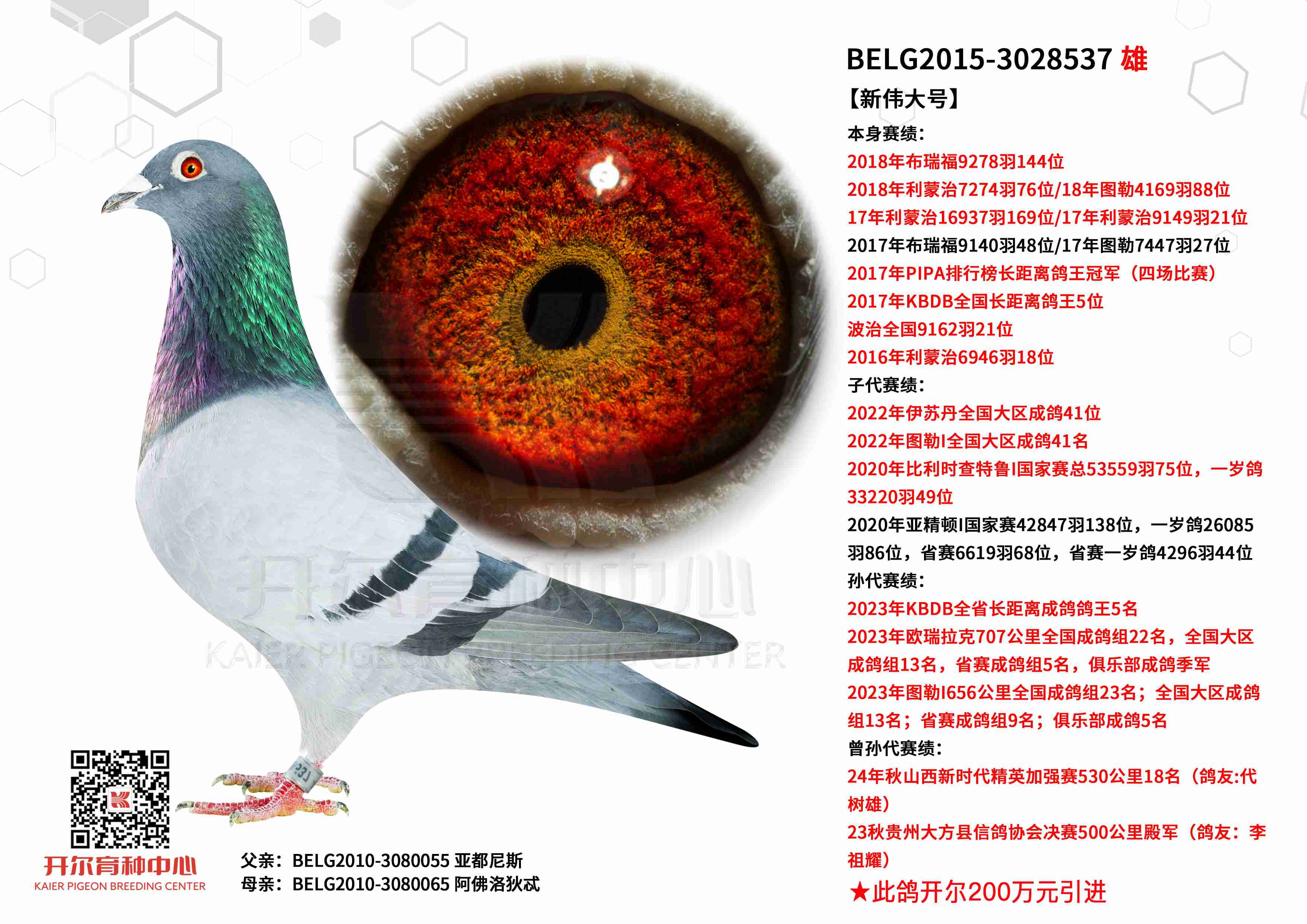 ����ΰ��š�PIPA���а񳤾�������ھ�