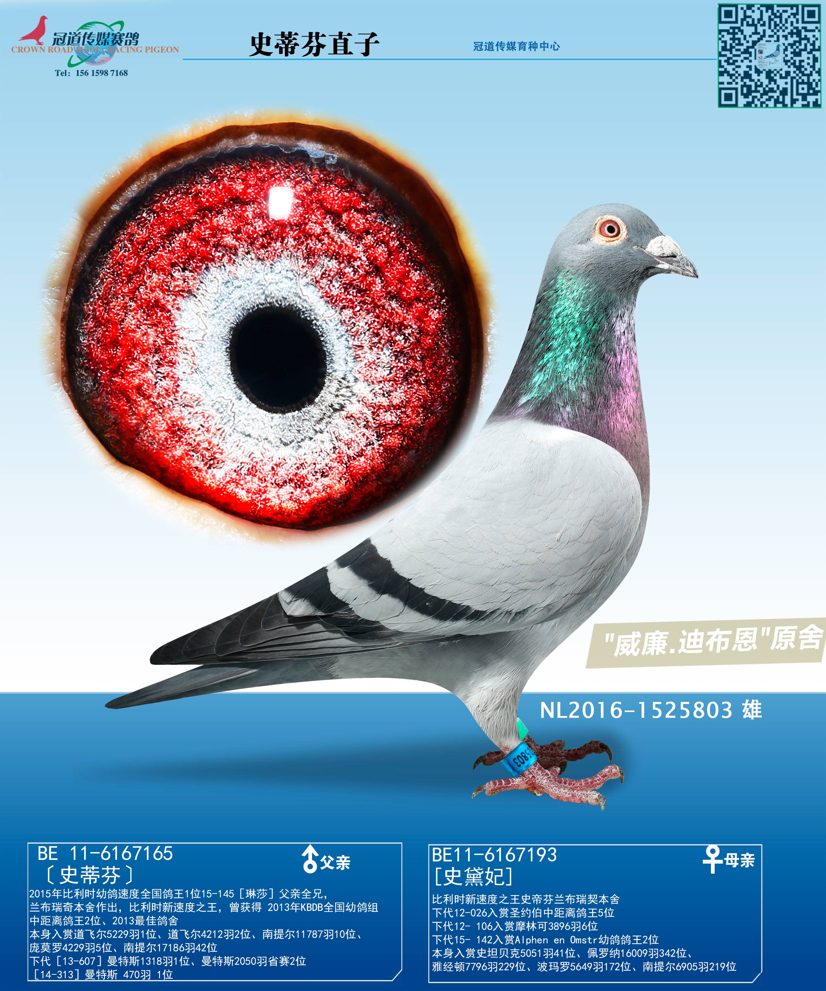 ����.�ϲ���ԭ��  ʷ�ٷ�ֱ��