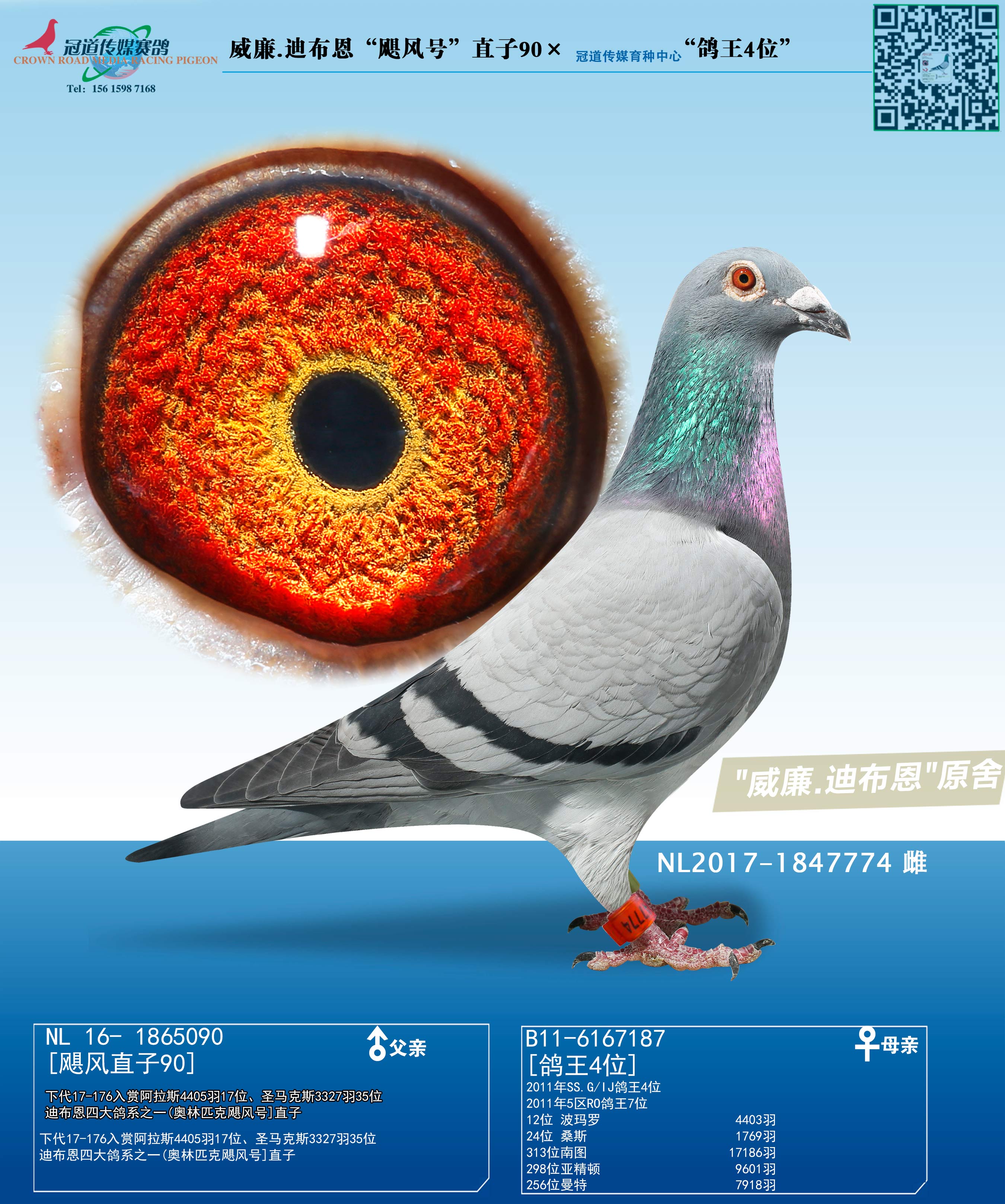 ����.�ϲ�����쫷�š�ֱ��Ů