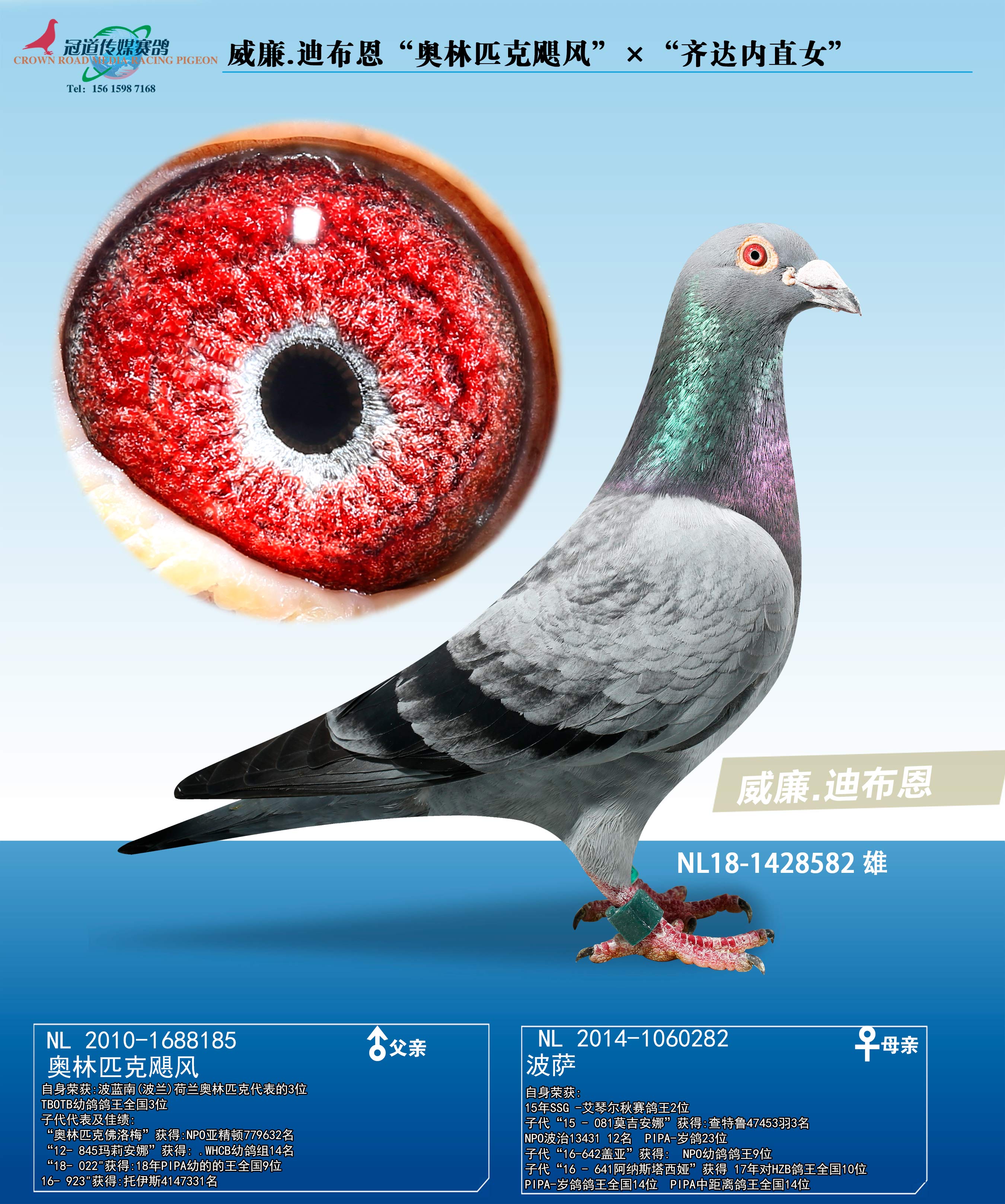 ����.�ϲ���������ƥ��쫷硱���������ֱ