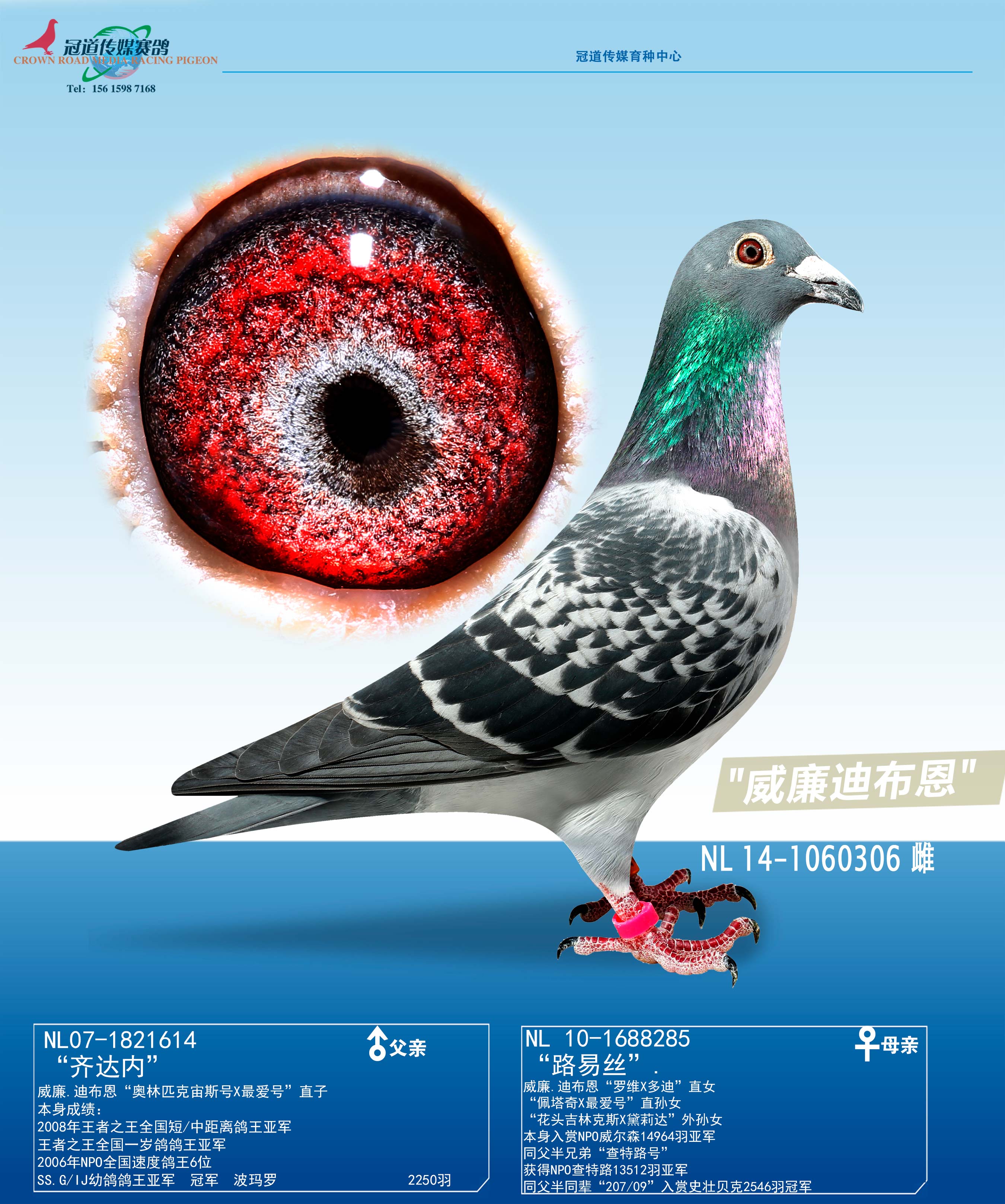 �����ϲ���������ڡ�ֱŮ