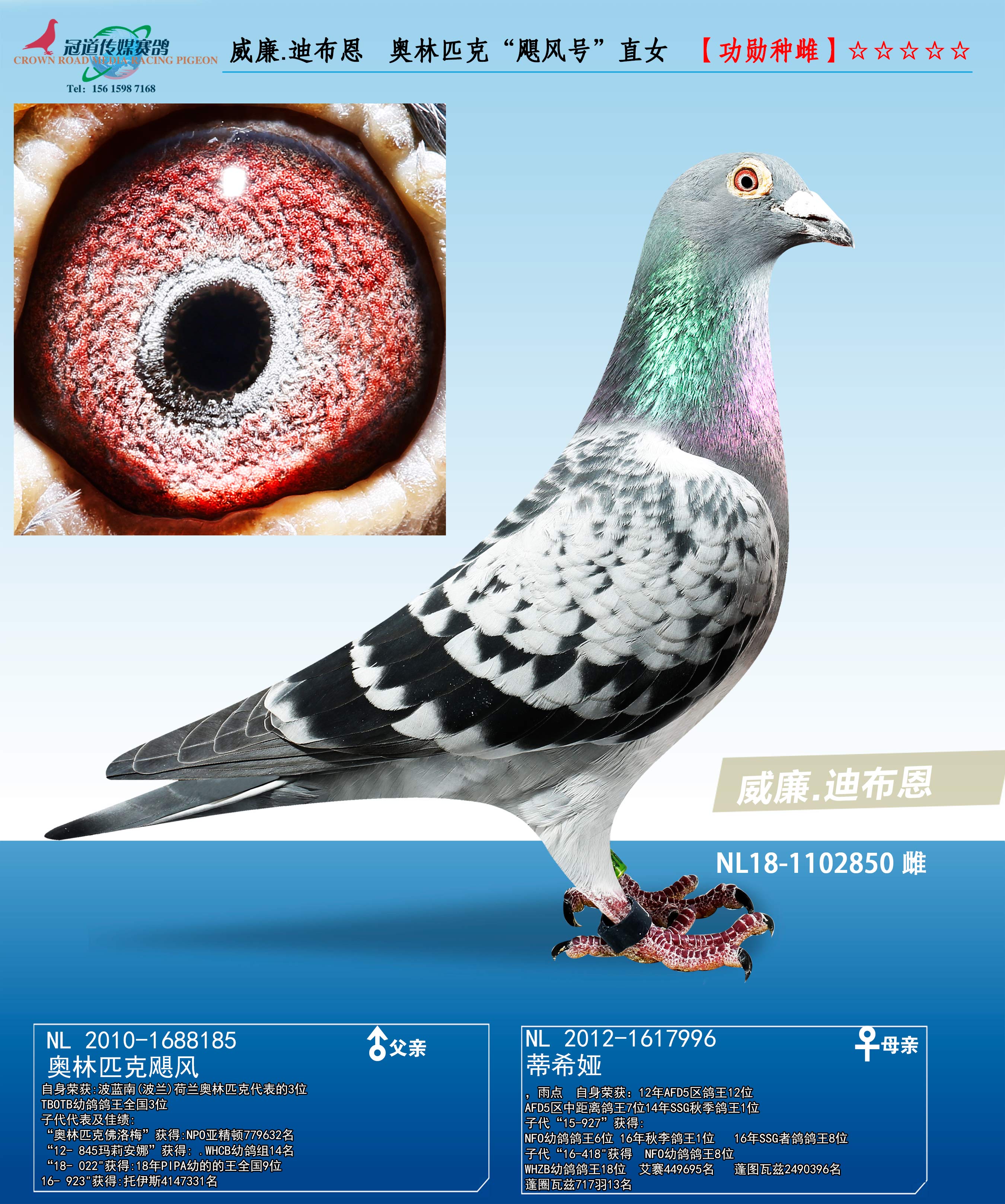 ����.�ϲ���  ����ƥ�ˡ�쫷�š�ֱŮ