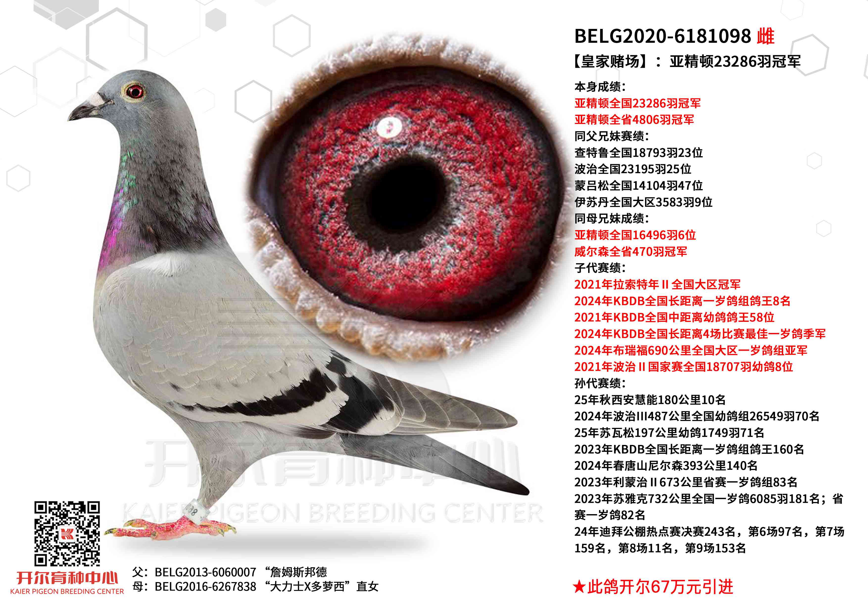 ���ʼҶĳ������Ǿ���23286��ھ�