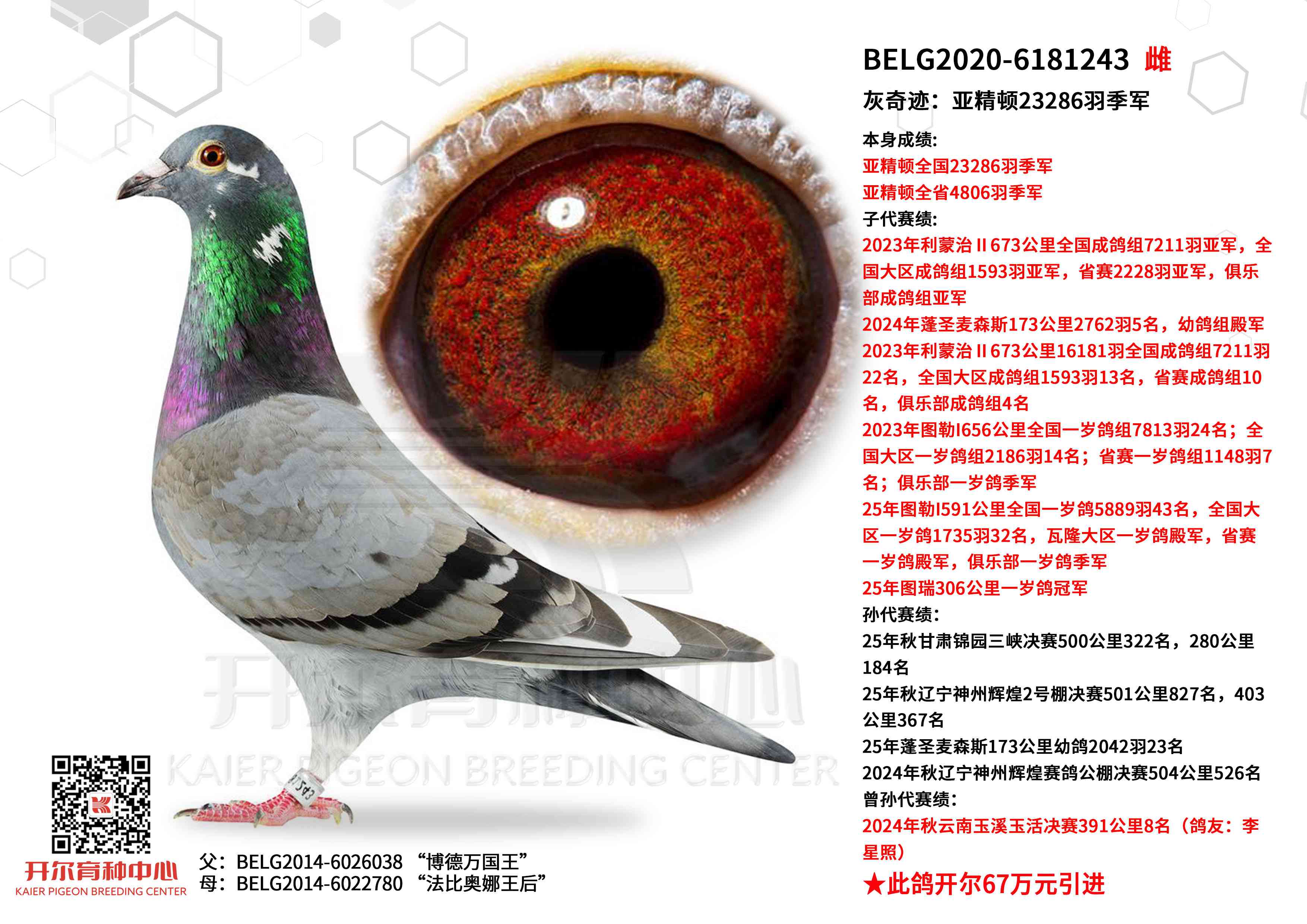 ���漣���Ǿ���23286�𼾾�