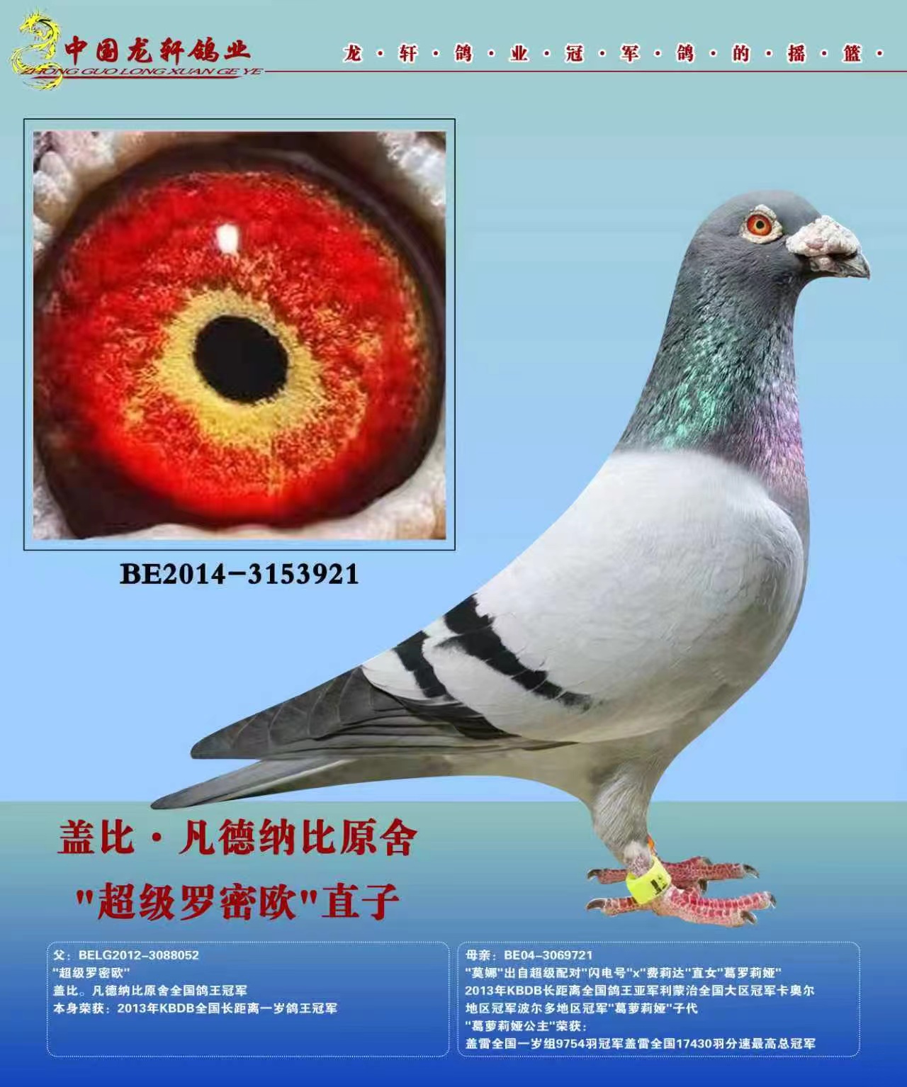 �Ǳ�.�����ɱȳ�������ŷֱ��