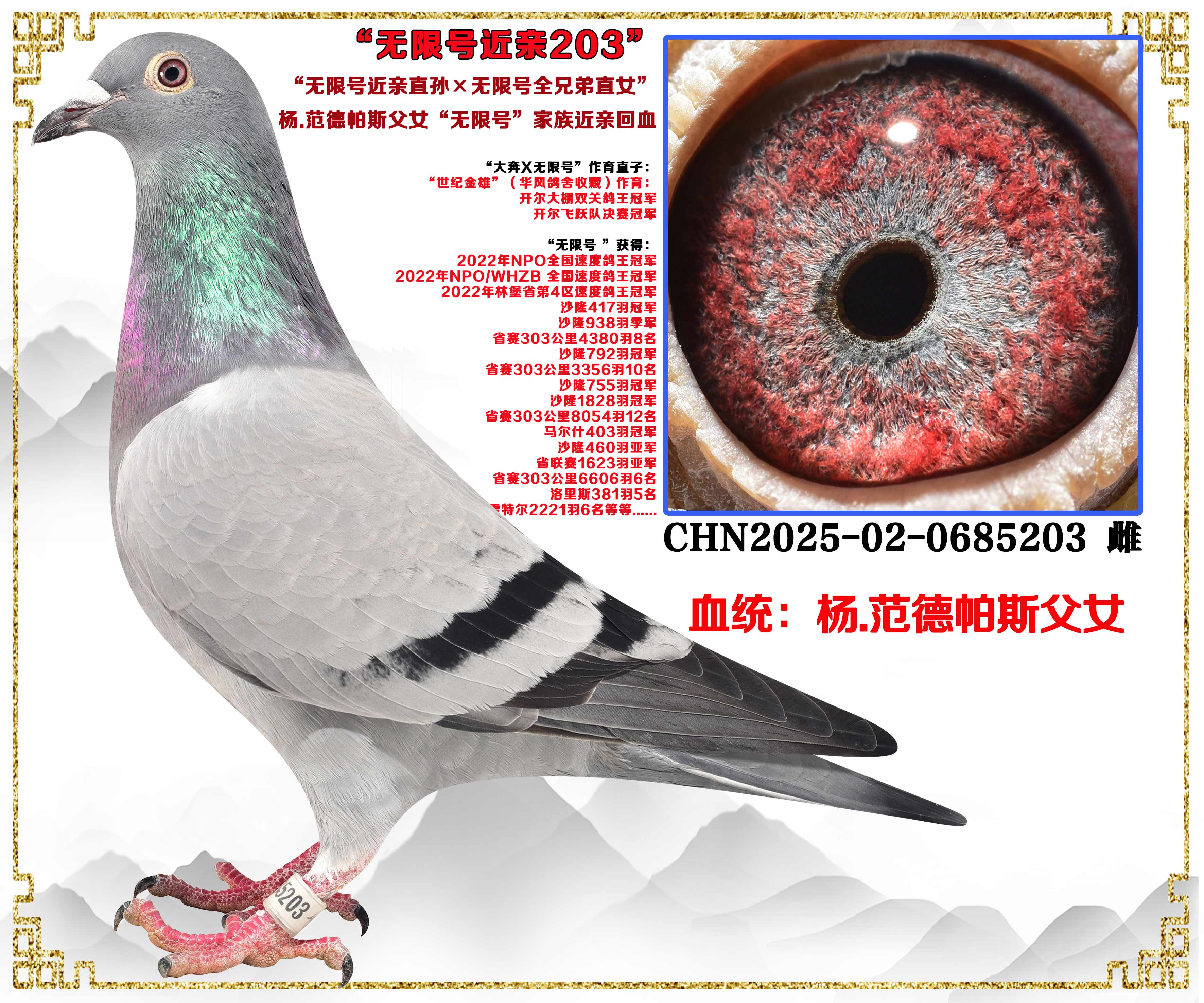 ���Ⱦ�����...