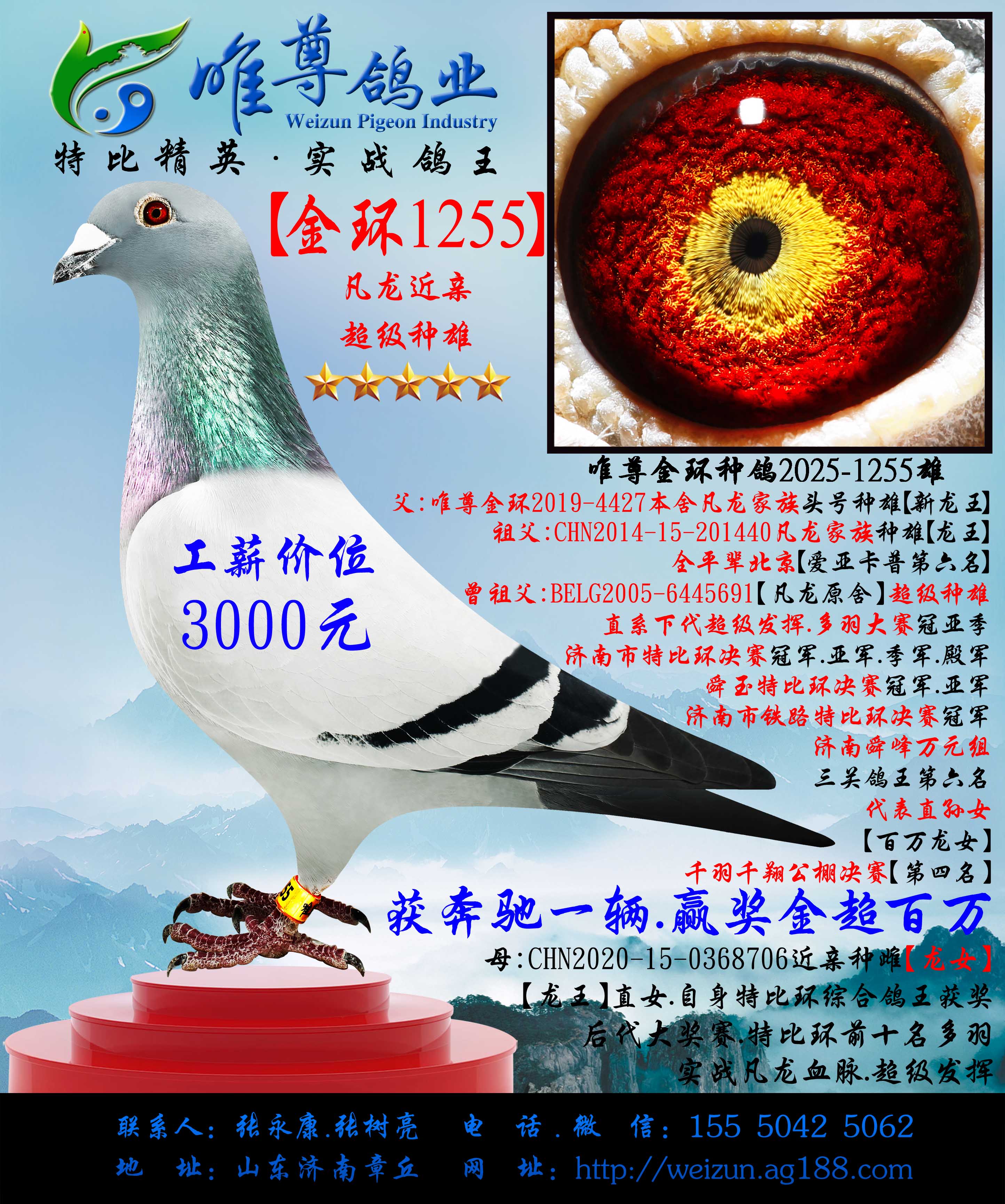 ����1255��������������