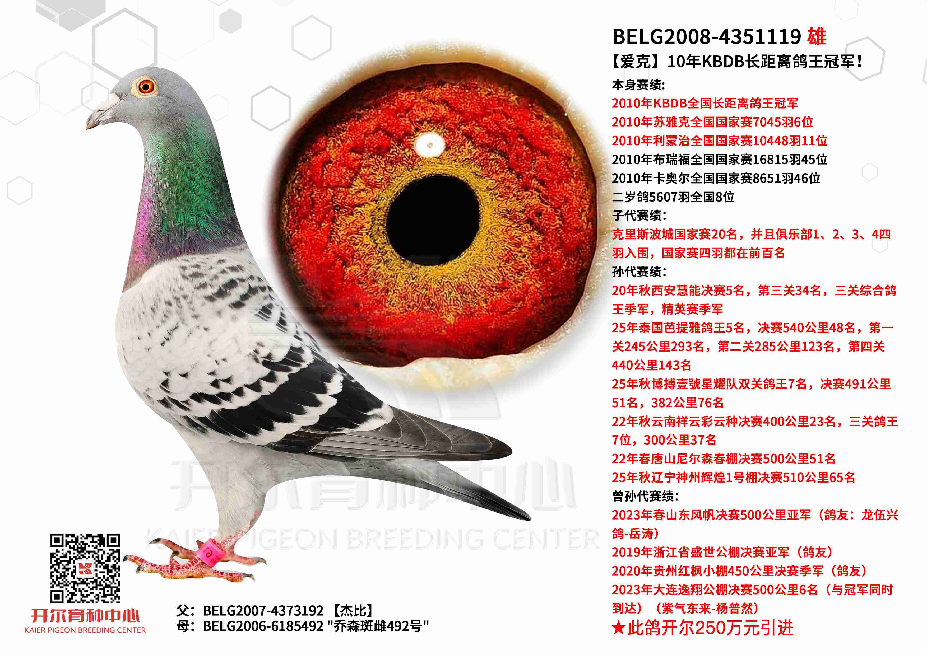 �����ˡ�10��KBDB����������ھ���