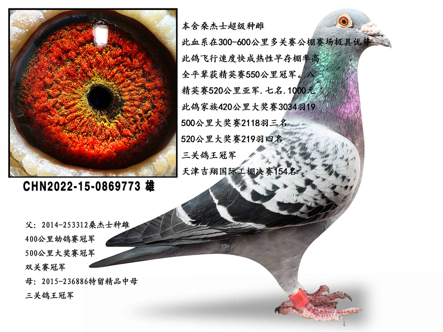 ɣ��ʿ�����ִ�